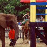 First image from the photoset 'untitled'.