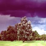 image: Image from the photoset ‘
brass
’.