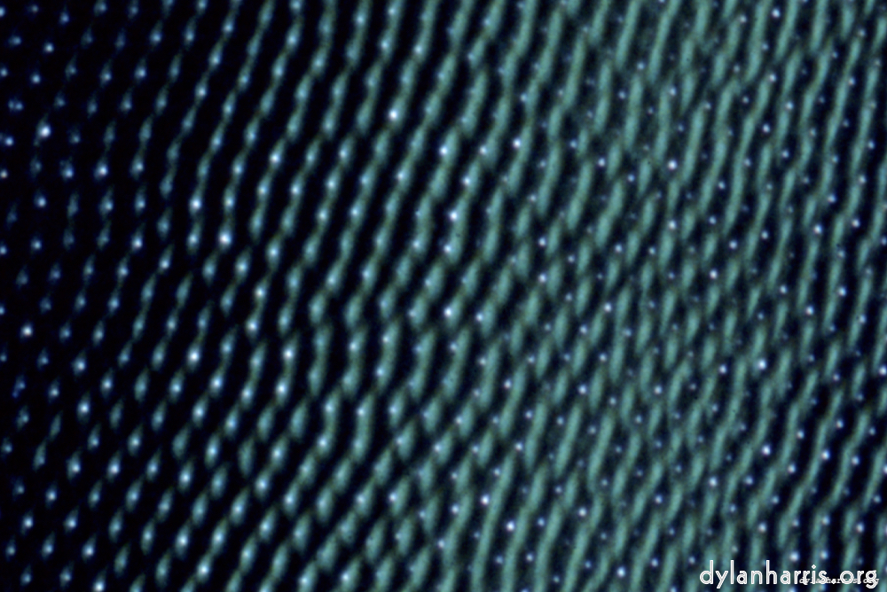 image: This is ‘
fire & ice (xli) 4
’.