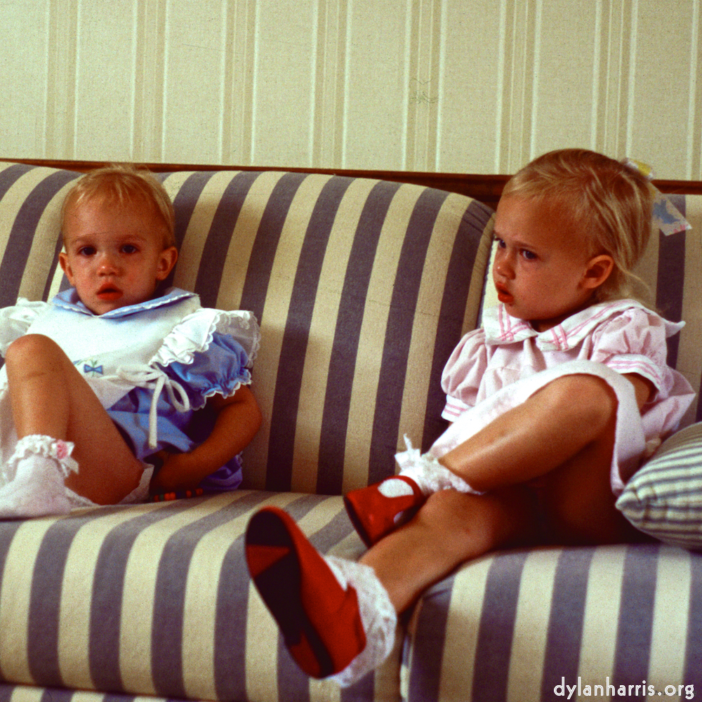 Image: Image 'family (xvi) 1'.