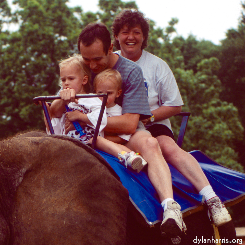 Image 'family (xvi) 3'.