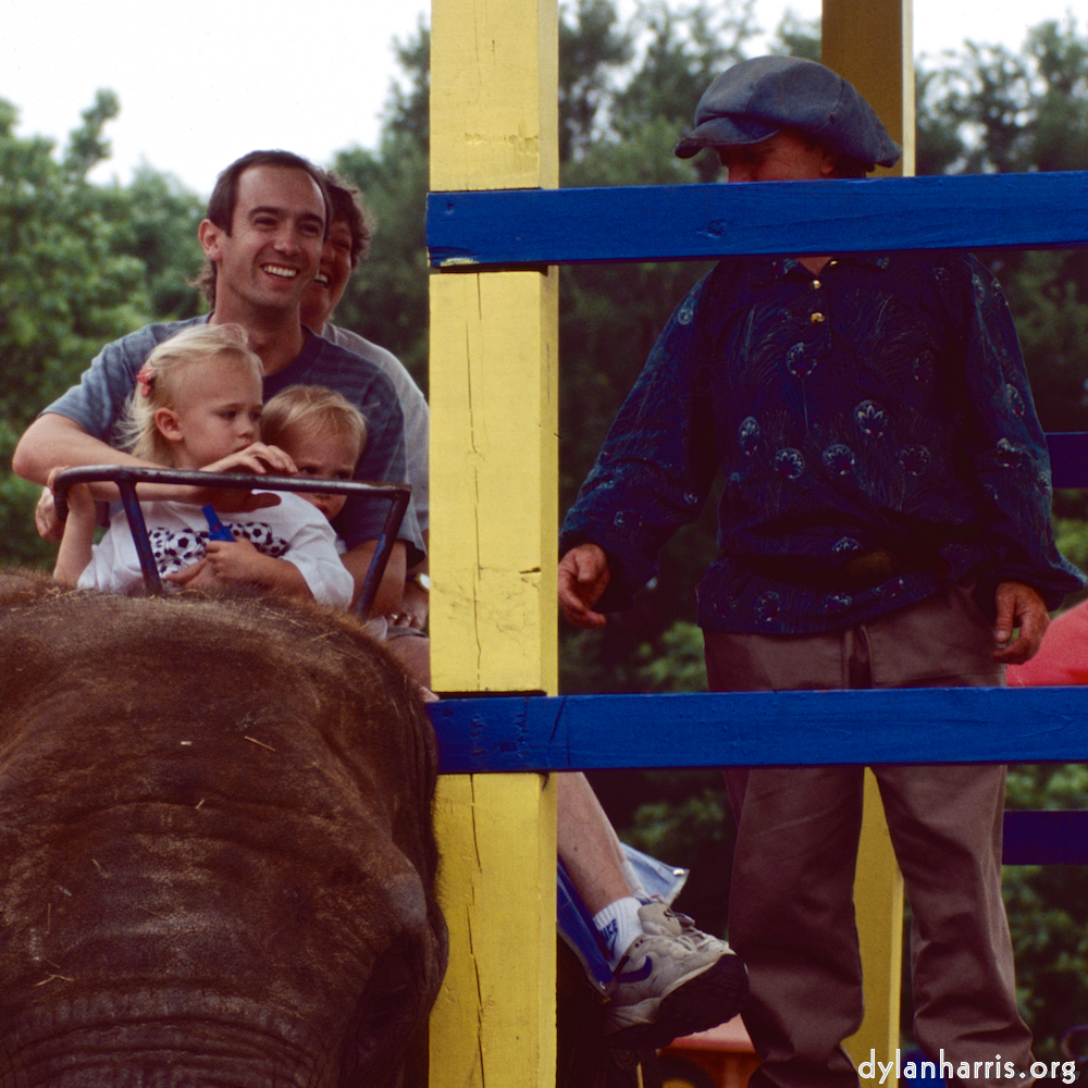 Image: Image 'family (xvi) 5'.