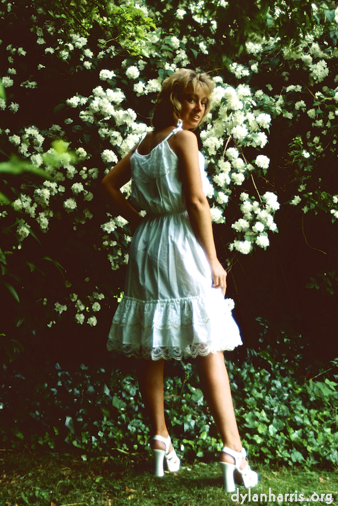 Image: Image 'lisa (xvi) 1'.