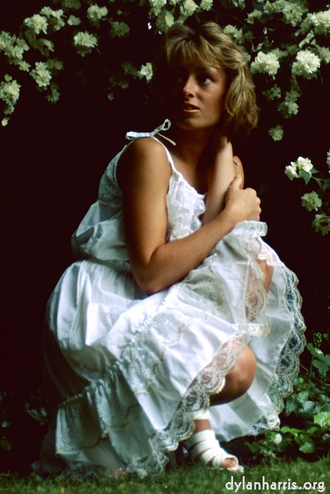 Image: Image 'lisa (xvi) 7'.