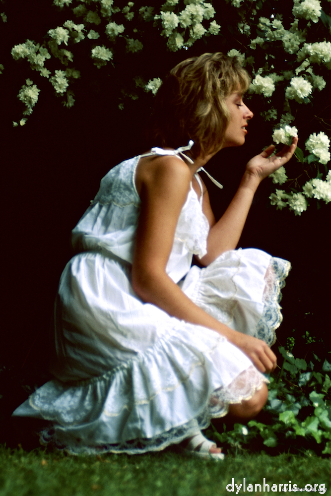 Image: Image 'lisa (xvi) 8'.