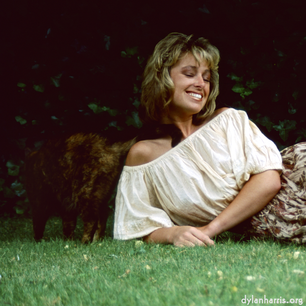 image: This is ‘
lisa (xvii) 4
’.