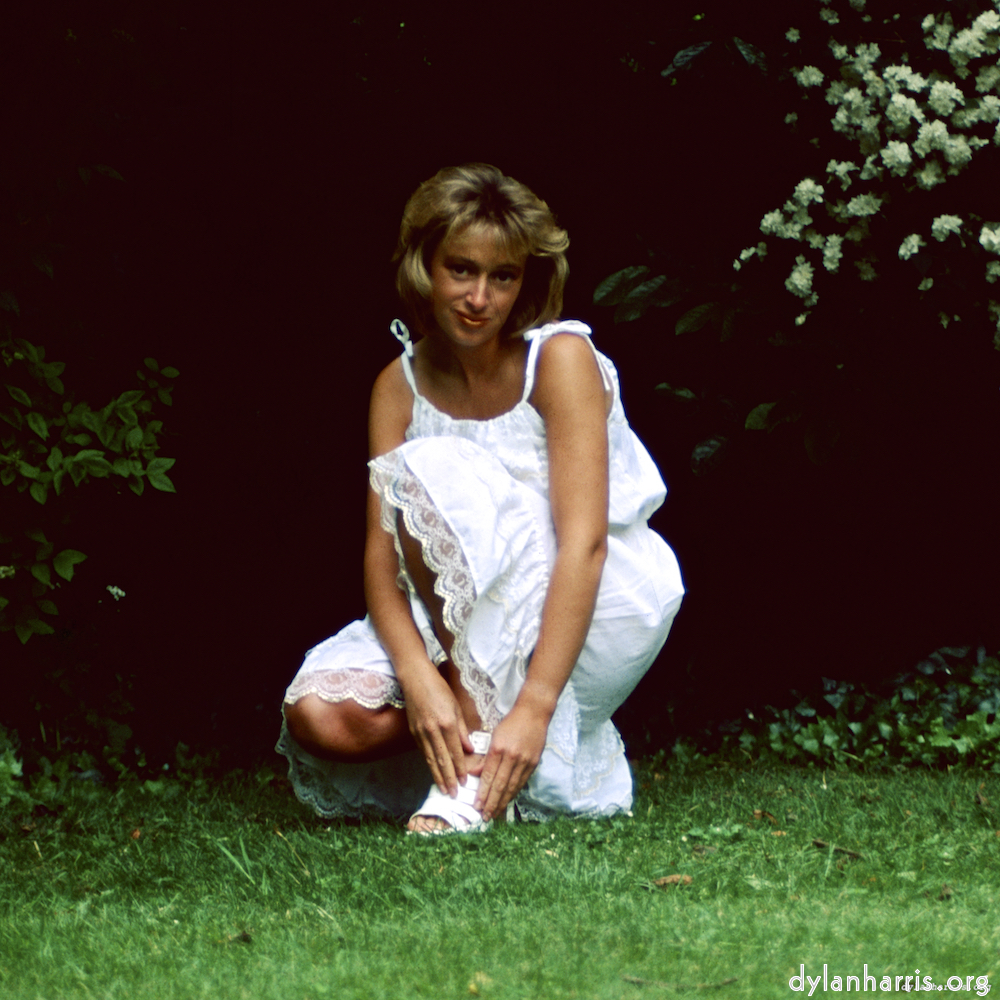 image: This is ‘
lisa (xvii) 5
’.