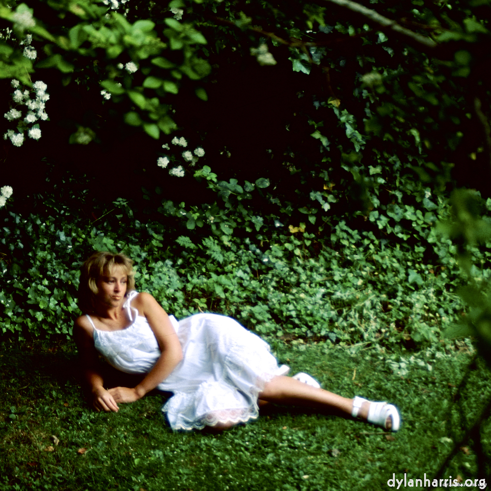 image: This is ‘
lisa (xvii) 6
’.