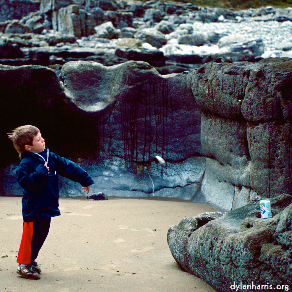 Image: Image 'family (xv) 6'.