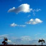 Fifth image from the photoset 'south'.