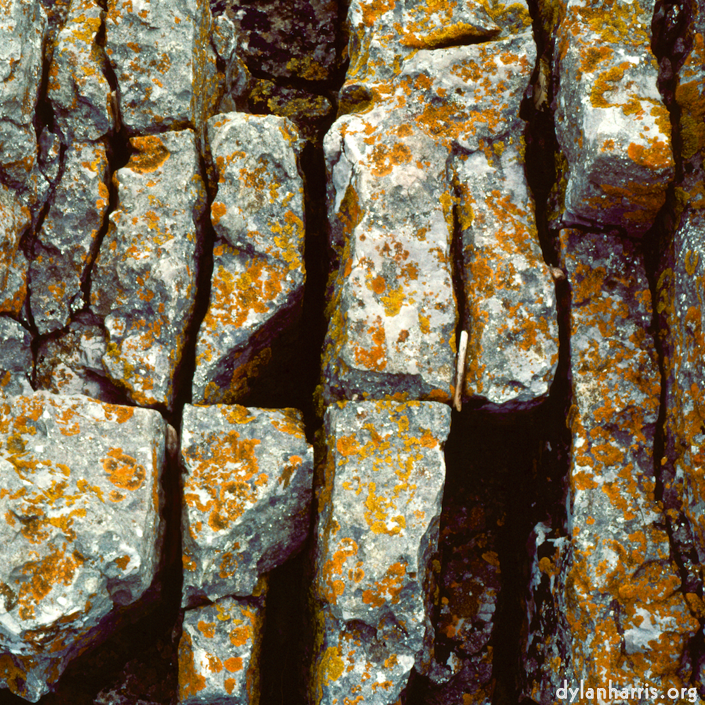 Image: Image 'yorkshire (vi) 3'.