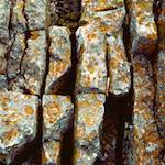 Image: Third image from the photoset 'yorkshire (vi)'.