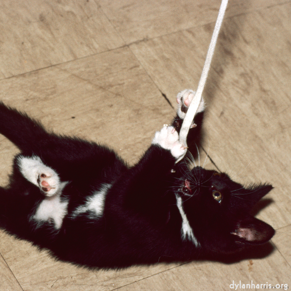 image: This is ‘
untitled (xxxviii) 1
’.