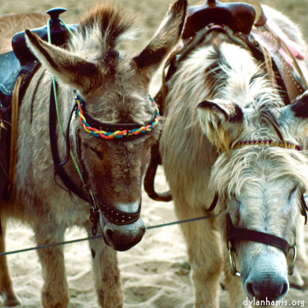 image: This is ‘
untitled (xxxviii) 3
’.