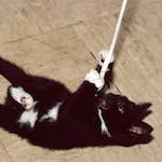 image: Image from the photoset ‘
untitled (xxxviii)
’.