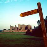 First image from the photoset 'oh i did not know'.