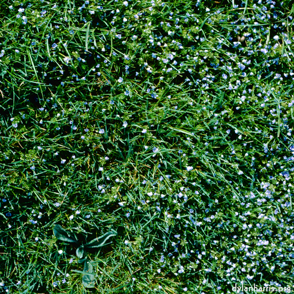 Image 'yorkshire (vii) 2'.