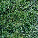 Image: Second image from the photoset 'yorkshire (vii)'.