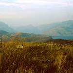 Image: Fifth image from the photoset 'highlands (xxiii)'.