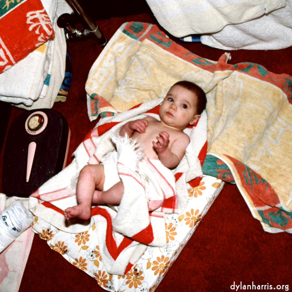 Image: Image 'family (xviii) 1'.