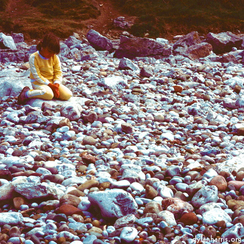 Image: Image 'family (xviii) 2'.