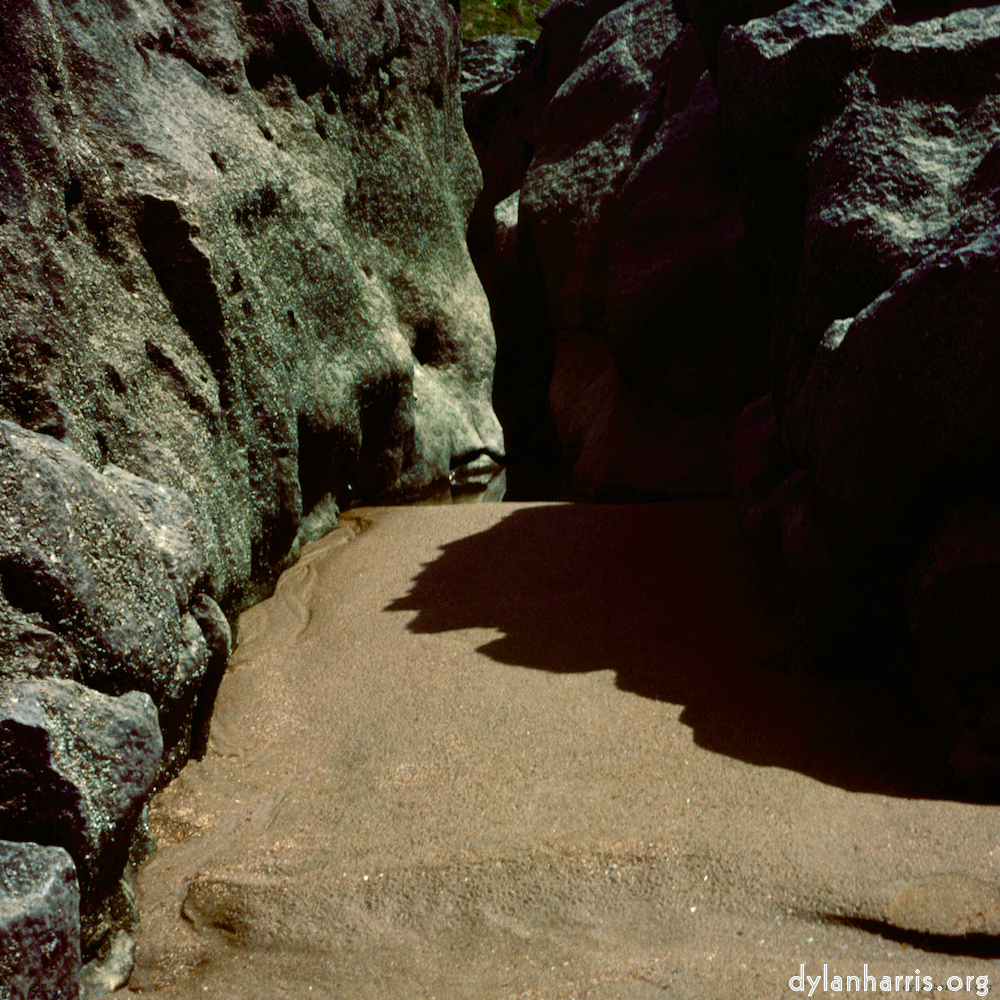 Image 'family (xviii) 3'.