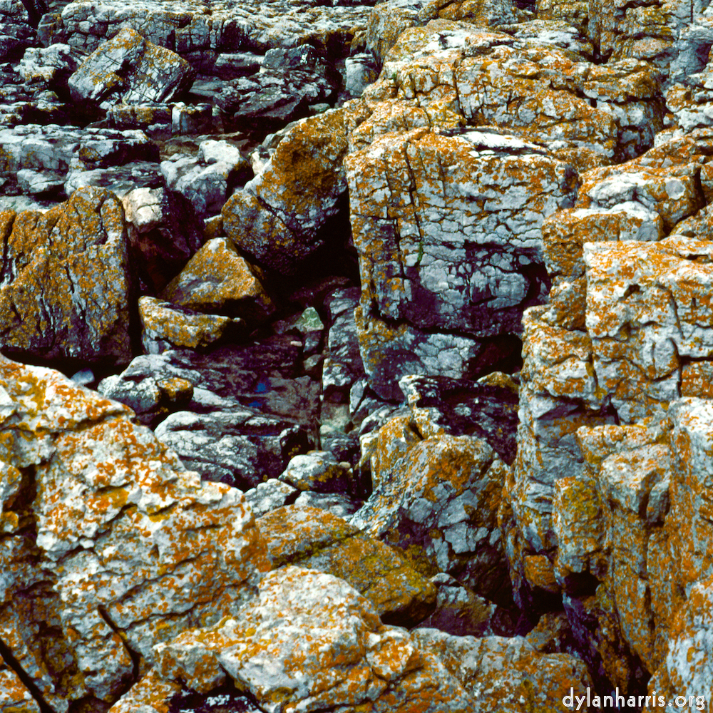 image: This is ‘
C (vi) 3
’.