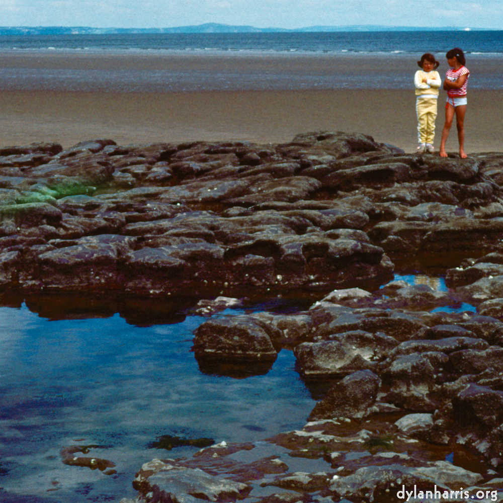 Image 'family (xvii) 4'.