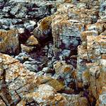 Image: Third image from the photoset 'family (xvii)'.