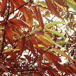 image: Image from the photoset ‘
untitled (xl)
’.