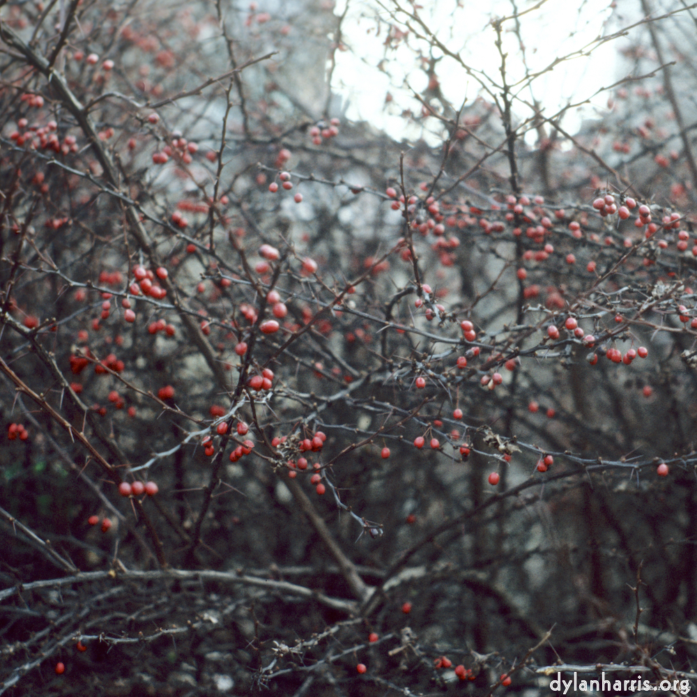 image: This is ‘
untitled (xli) 2
’.