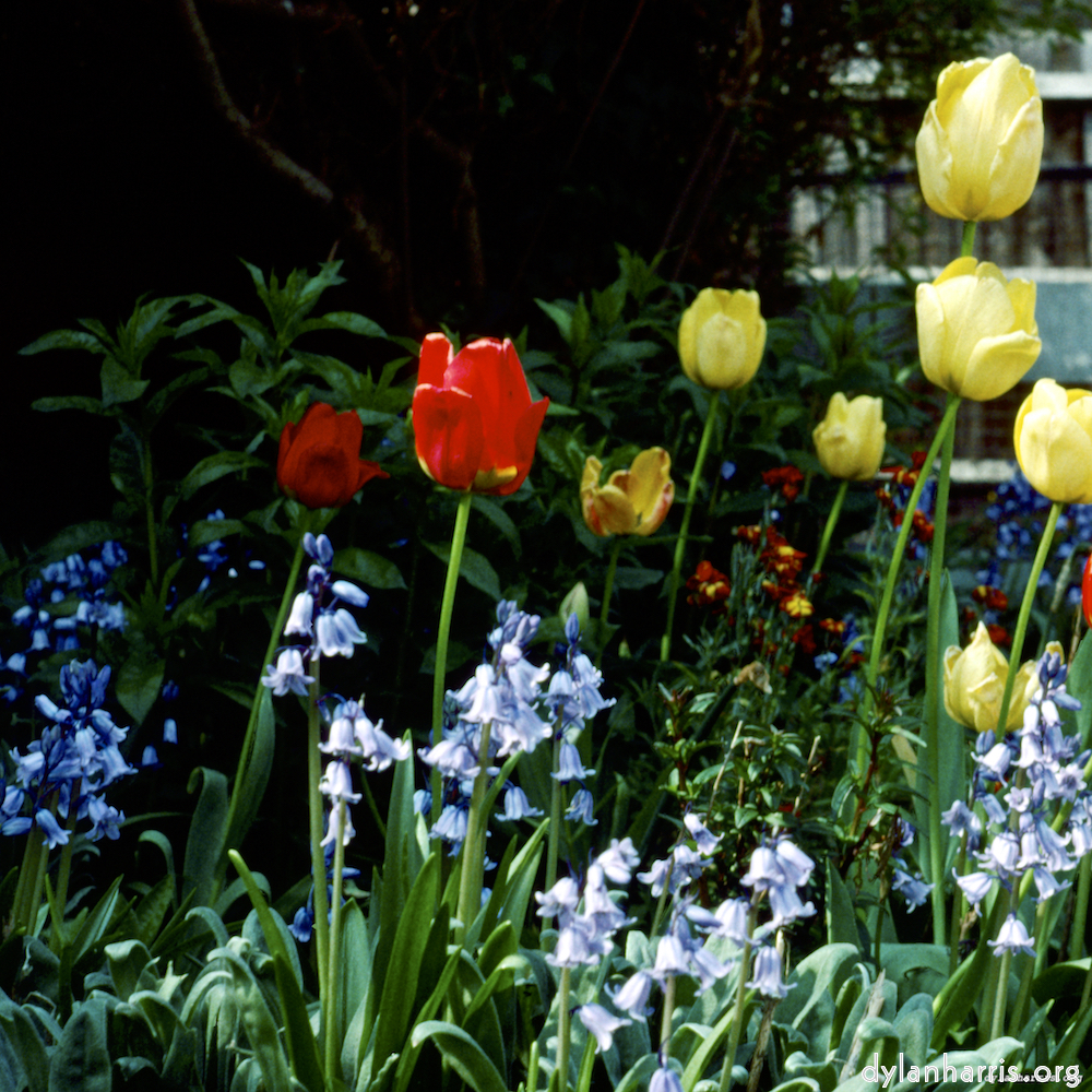 image: This is ‘
untitled (xli) 6
’.