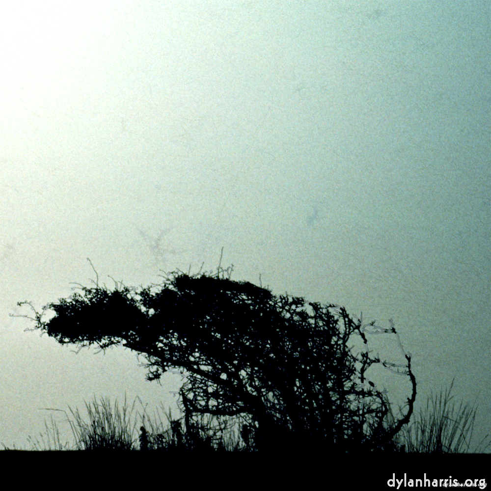 image: This is ‘
untitled (xli) 8
’.