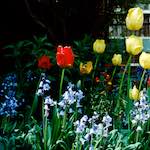 image: Image from the photoset ‘
untitled (xli)
’.