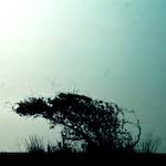 image: Image from the photoset ‘
untitled (xli)
’.