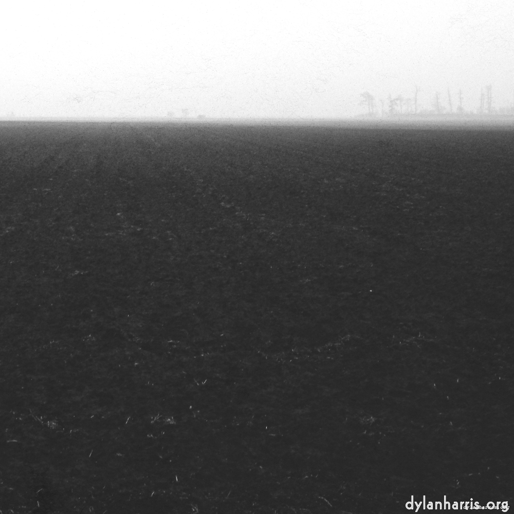 Image: Image 'fen (v) 1'.