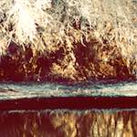 image: Image from the photoset ‘
huntingdonshire (i) 
’.