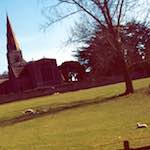 image: Image from the photoset ‘
huntingdonshire (i) 
’.