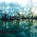 image: Image from the photoset ‘
huntingdonshire (i) 
’.