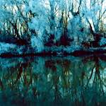 image: Image from the photoset ‘
huntingdonshire (i) 
’.