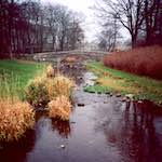 Image: Second image from the photoset 'barnwell (i)'.