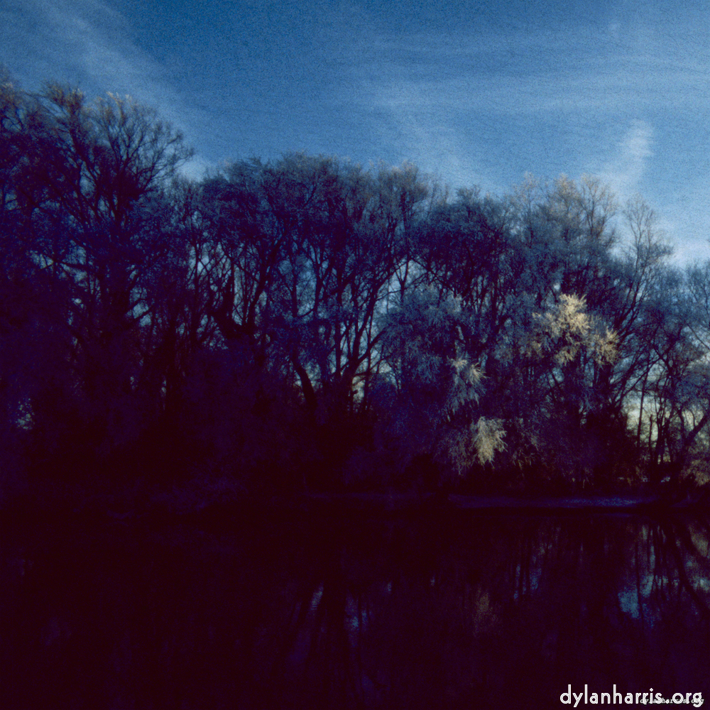 Image 'st. neots park (v) 2'.