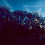 Image: Second image from the photoset 'st. neots park (v)'.