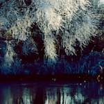 Image: Fourth image from the photoset 'st. neots park (v)'.