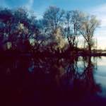 Image: Fifth image from the photoset 'st. neots park (v)'.