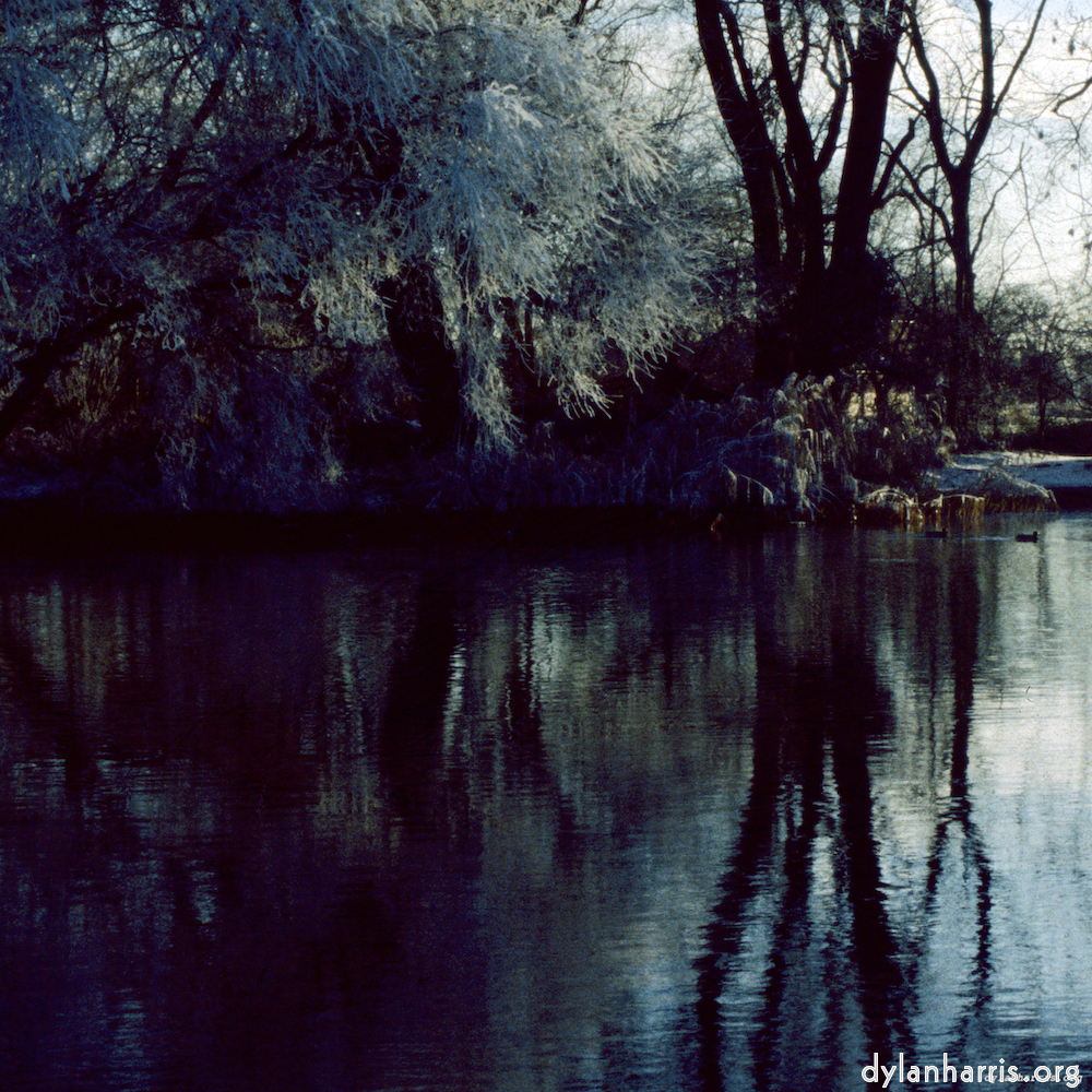 Image: Image 'st. neots park (vi) 2'.