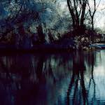 Image: Second image from the photoset 'st. neots park (vi)'.