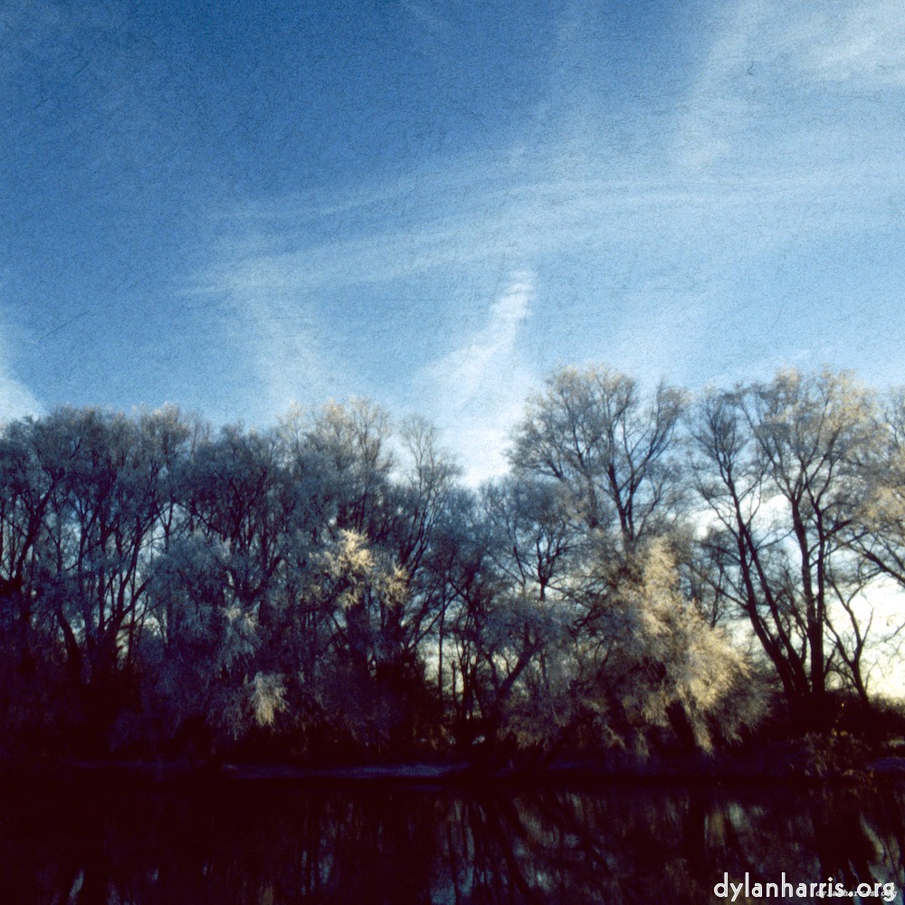 Image: Image 'st. neots park (vii) 2'.