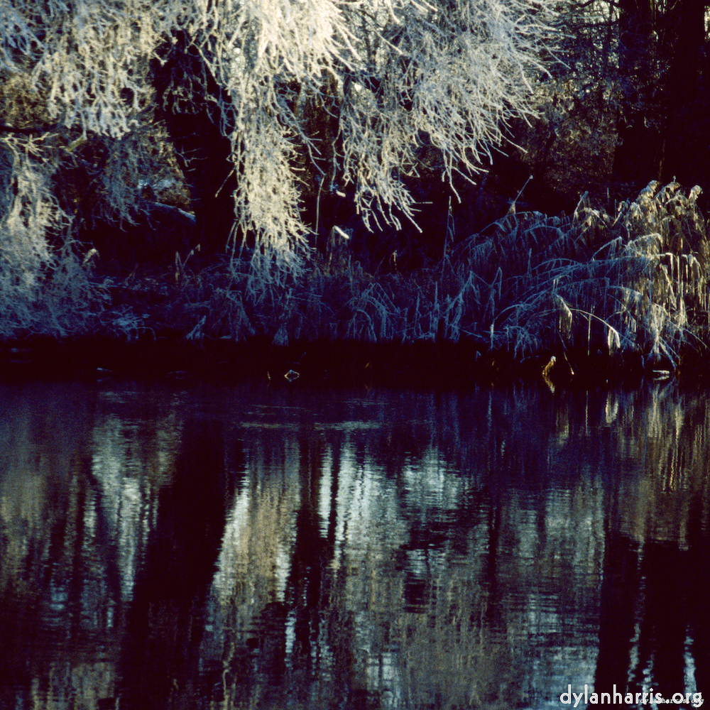 Image: Image 'st. neots park (vii) 3'.