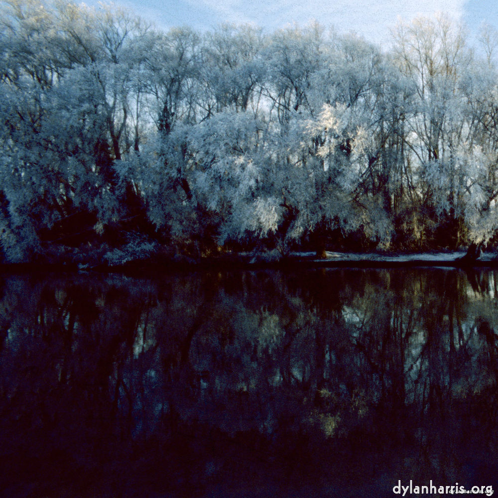 Image 'st. neots park (vii) 5'.